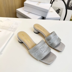 Christian Dior Slippers